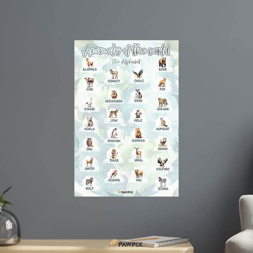 Tierisches ABC Lernposter