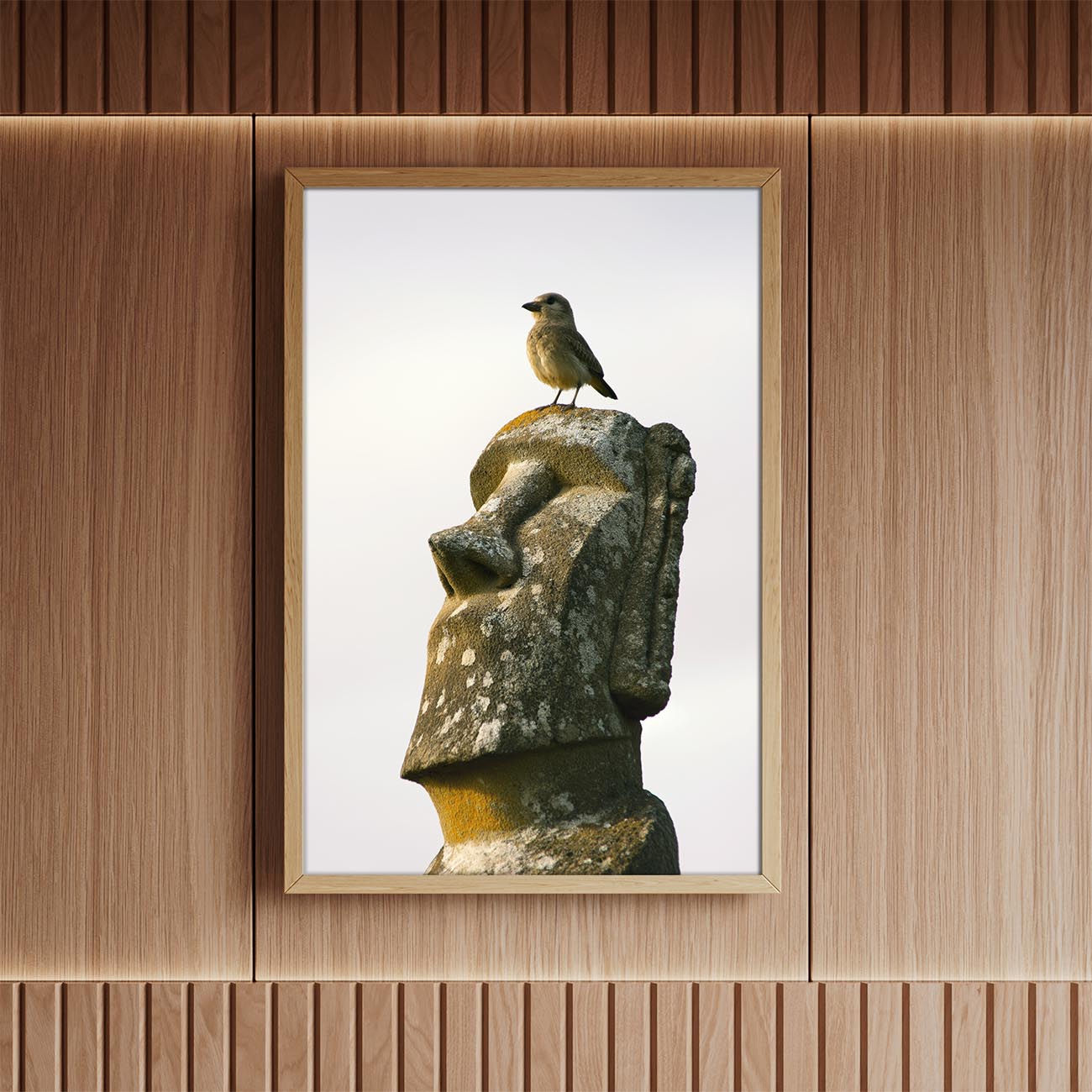 Moai Vogel - Poster