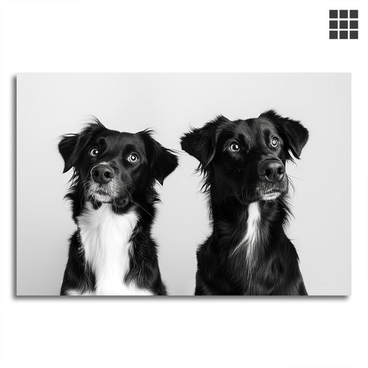 Monochrom Couple Schwarz-Weiß Tierposter