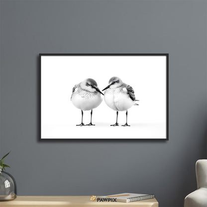 Monochrom Couple Schwarz-Weiß Tierposter